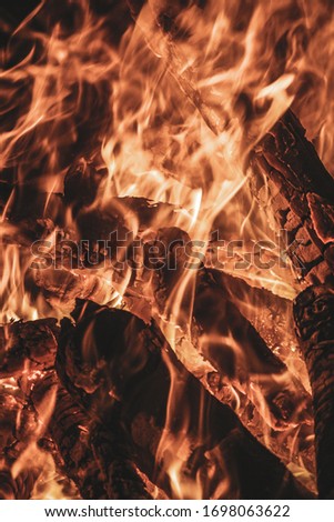 photo of a burning wood