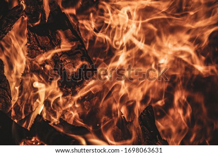photo of a burning wood