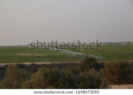 photo taken from qatar farm