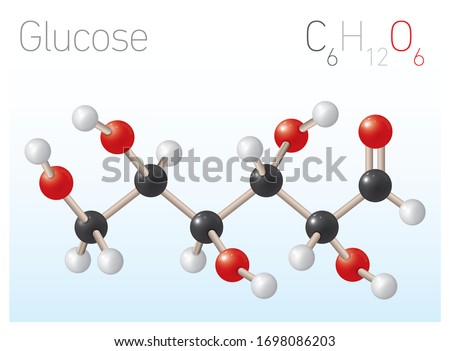 Glucose C6H12O6 Structural Chemical Formula and Molecule Model. Chemistry Education Vector Illustration Royalty-Free Stock Photo #1698086203