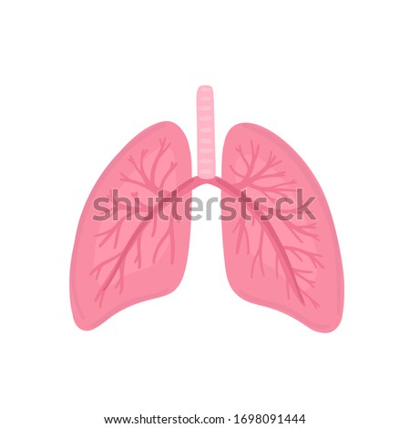 Vector healthy human lungs. Illustration for label, advertisement of pulmonary medicine, poster or banner for pulmonology clinic, design for website or article about respiratory system health