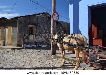 Funny picture of a horse stopped at a stop sign. Cuban street buggy. Rustic transportation in tropical country