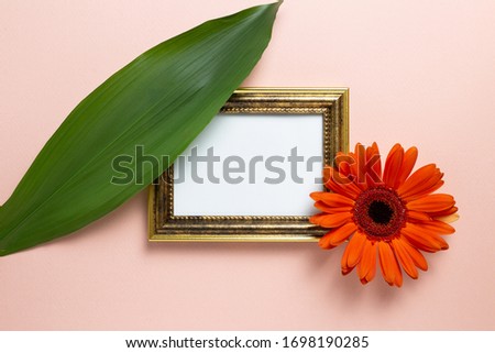 Empty photo frame with orange gerbera daisy flower and green leaf on pink background. Floral composition, flat lay, top view, copy space