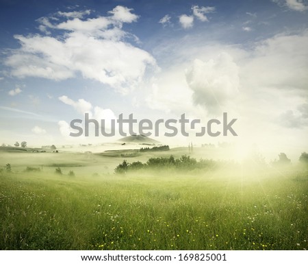 Meadow in landscape, New Zealand Royalty-Free Stock Photo #169825001