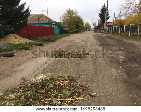 A humorous picture of how in a Russian village they closed a hole in the road with the tops of beets. Bad roads in Russia were repaired by grass and plants.