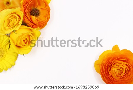 Yellow flowers and orange flowers isolated on white background