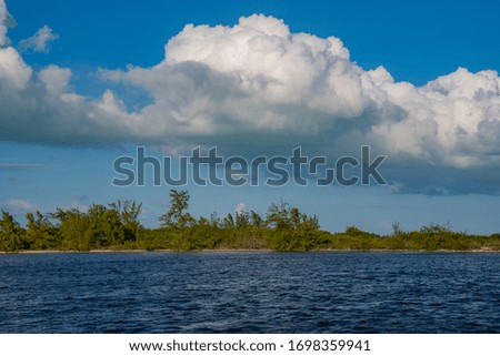 Caribbean sea, forest and white clouds