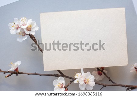 Minimalistic invitation card mockup with cherry branch, flower, blossom, flat lay, top view
