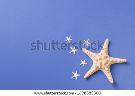 one big starfish and five small lying on a blue background in right corner, top view with copy space.