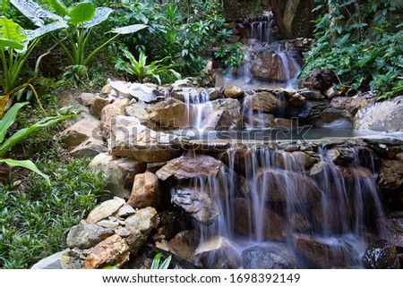 Small water fall in jungle