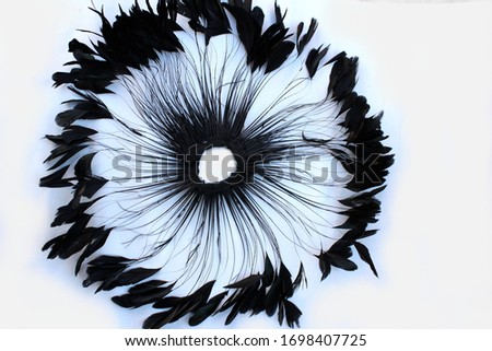 Frame of black feathers on a white background. Emo style frame made of boa (feather scarf) isolated on white. exotic soft beautiful black feather. Feathers laid out around. A fan in dark colors.