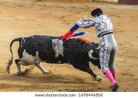 Traditional Bullfighting and corrida, matador and bull Royalty-Free Stock Photo #1698446806