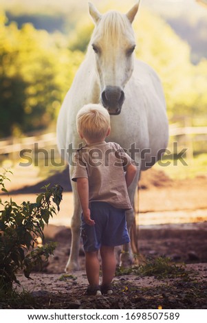 little boy looking in the white horse on farm