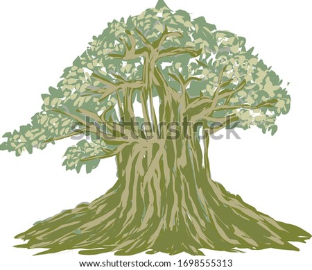 vector image of a banyan tree with a white background Royalty-Free Stock Photo #1698555313