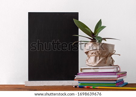 Chalboard, books stack, pencils with green home plant in a pot wrapped in brown kraft paper on white background.Distance education, e-learning, quarantine online learning mockup, back to school banner