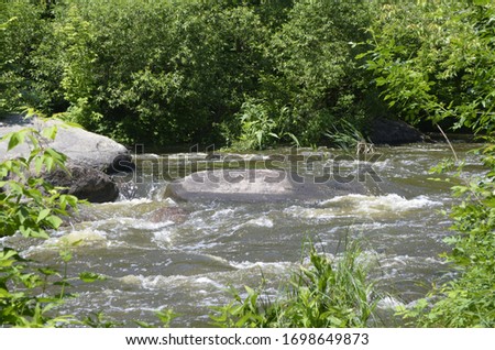 fast river in the forest