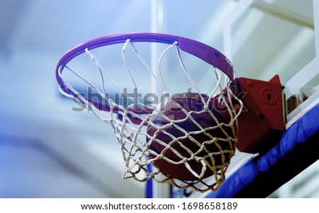 Professional basketball arena with a classic basket