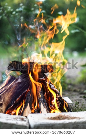 Beautiful little bonfire during the day on a camping trip. Stock background for design