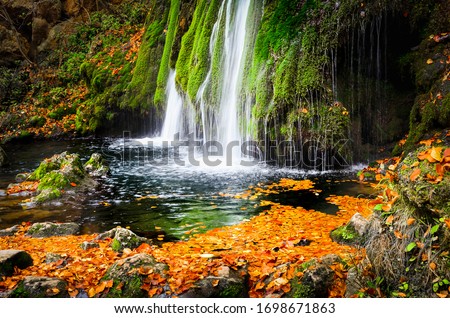 Autumn waterfall with foliage. Cascade landscape in fall Royalty-Free Stock Photo #1698671863