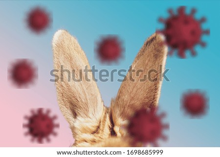 Beautiful rabbit ears on a abstract background easter 2020. Corona virus infection, contemporary colors and mood social background.