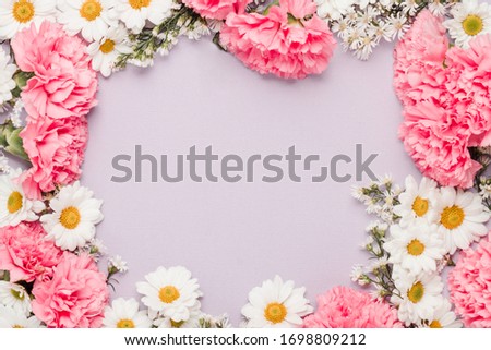 Border of pink carnation and daisy flowers in a lilac  background