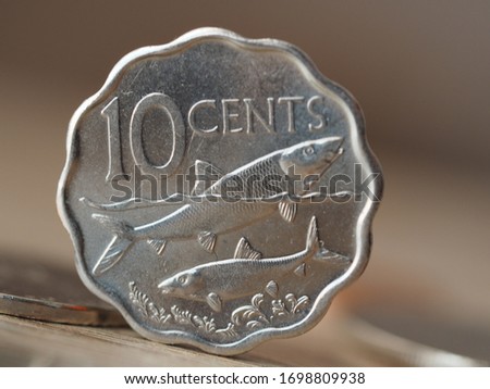 Bahamian Dollar with picture of sea life on the coin surface: two bone fish swimming as a depiction on 10 cent coin
