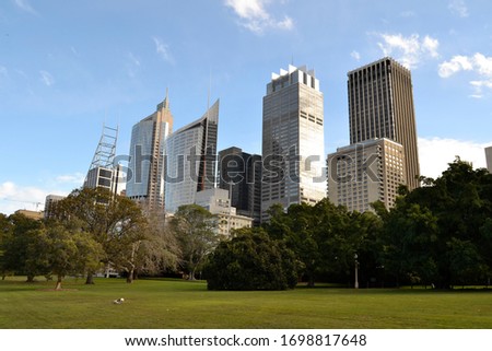 views of the Sydney skyline