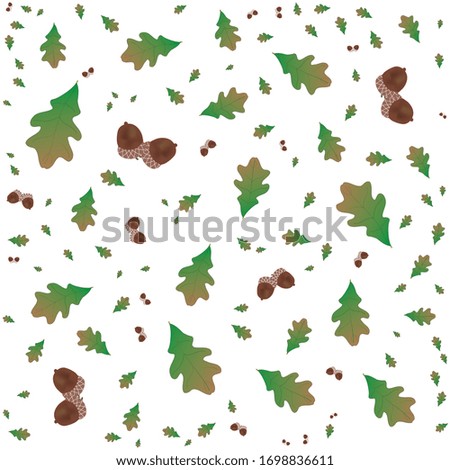 Different size and type oak leaves and oak acorn