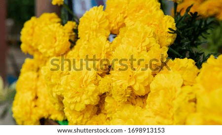 Buddhist tradition of worship and flower offering to monks