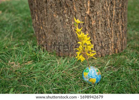 small ball - globe from which spring blooming yellow sticks out from  twig lies on saturated green grass. In  background is  tree bark. Eco concept, environmental education, environmental awareness