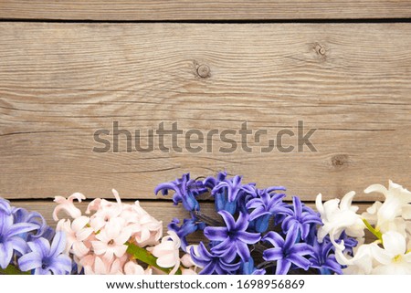 Bunch of hyacinths flower on a grey wooden background. Spring concept