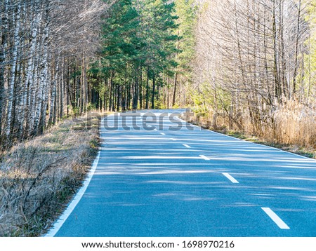 Asphalt road with markings in the forest. Industry. Transport. Traffic Place for text. Background image. Ecology. Environment.