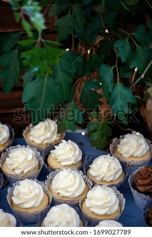 cupcakes on a dessert table at a DIY wedding with wooden crates, houseplants, and twinkle lights in the background