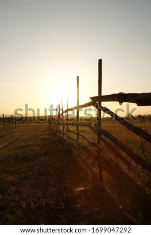 Amazing bright sunset  Over Field Or Meadow. Bright Dramatic Sky And Dark Ground. Countryside Landscape Under Scenic Colorful Sky . Warm Colors.  Royalty-Free Stock Photo #1699047292