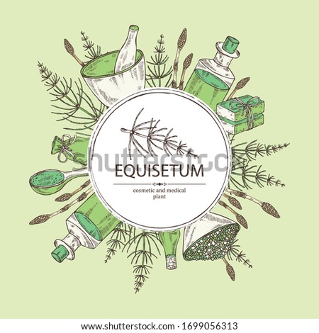 Background with equisetum: plant, escape equisetum, soap and bath salt . Horsetail. Cosmetic and medical plant. Vector hand drawn illustration