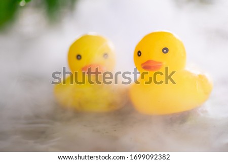 Cute yellow rubber duck on water with mist