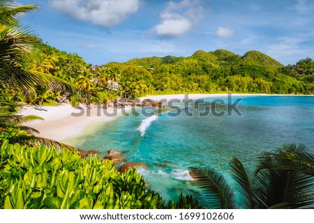 Mahe Island, Seychelles. Holiday vocation on the beautiful exotic Anse intendance tropical beach. Ocean wave rolling towards sandy beach with coconut palm trees Royalty-Free Stock Photo #1699102606