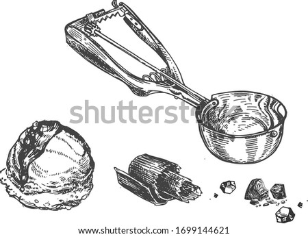Vector illustration of the ice cream set. Disher serving scoop spoon, sphere portion with a chocolate topping. Summer cold dessert in a vintage hand drawn engraving style. Royalty-Free Stock Photo #1699144621