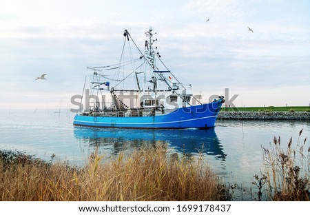 Blue shrimp boat on the river Weser in Wremen near Cuxhaven, Germany Royalty-Free Stock Photo #1699178437