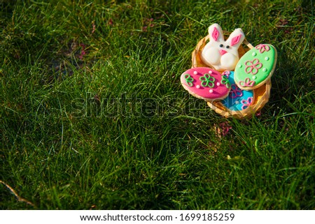 The concept of Easter holidays. Bunny and Easter Egg Cookies.