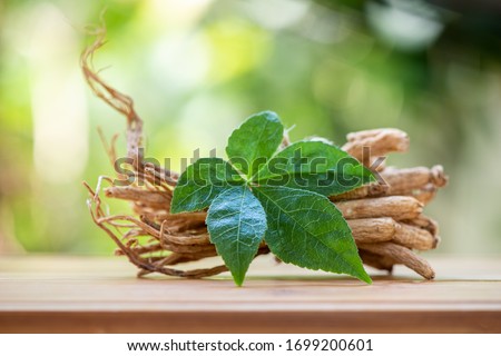 Ginseng and green leaf on a white background.
 Royalty-Free Stock Photo #1699200601