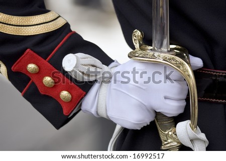 Military honour guard holding his sword presenting arms Royalty-Free Stock Photo #16992517