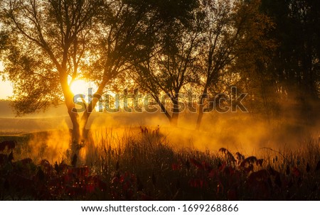 Golden sunrise over a foggy rural pond in Clare County. Royalty-Free Stock Photo #1699268866