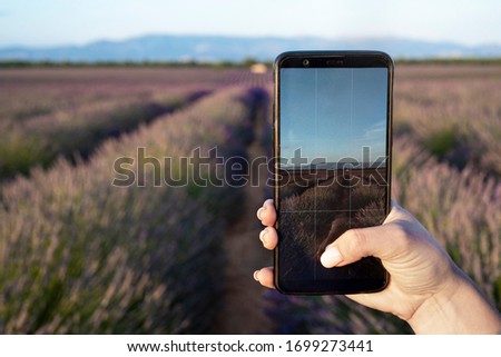Girl hand with manicure captures photo of lavender field to mobile phone in Valensole, Provence