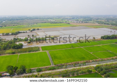 field background, top view landscape, nature
