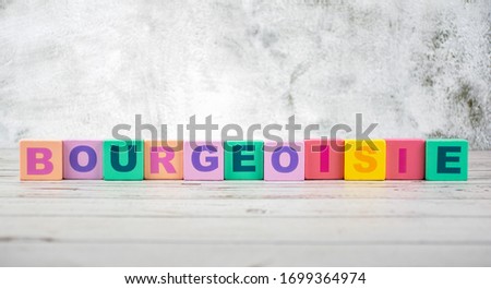 " bourgeoisie"-the words on wooden cubes.  A background image of english words on colorful building blocks.
