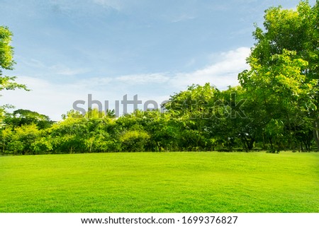 Green lawn with large courtyard, the morning sun