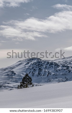 Lanscape pictures of Skarvan national park in Norway during winter