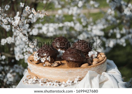 Tasty chocolate cupcakes. Homemade chocolate muffin cupcake with cream buttercream icing. Easter sweet dessert cake. Close up view. Cupcakes in blooming trees. Outdoor shooting in garden.