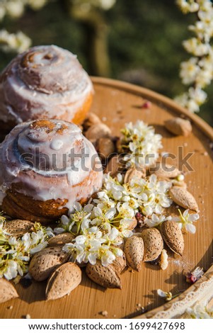 Homemade Cinnabon Buns with Cinnamon and Cream. Tasty cakes with cream buttercream icing. Easter sweet dessert cake. Close up view. Cinnabon in blooming trees. Outdoor shooting in garden.